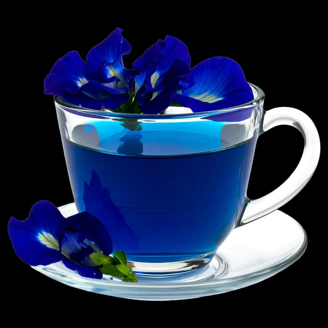 Blue Aurea butterfly pea flower tea